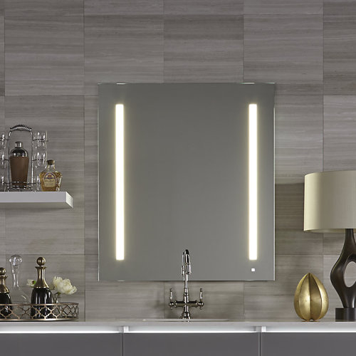 Robern AiO Modern and Contemporary Wall Mirror | Wayfair